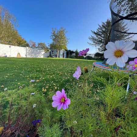 Hillview Bed & Breakfast Enniskerry Exterior photo