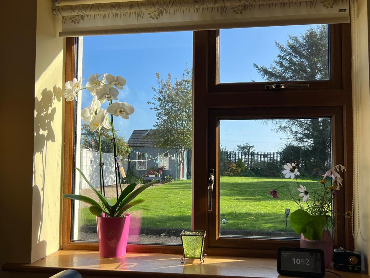 Hillview Bed & Breakfast Enniskerry Exterior photo
